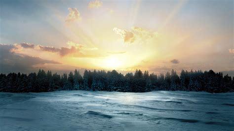 Winter Sunrise Forest 4k Wallpapers Hd Wallpapers Id 25530