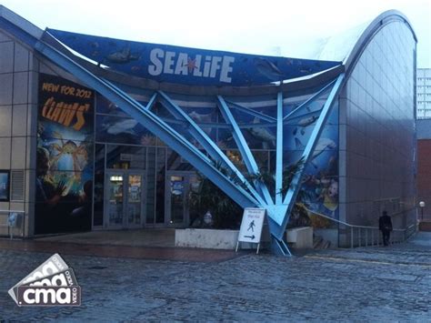 Sea Life Centre Birmingham A Fun Visit Here With Friends In The Last