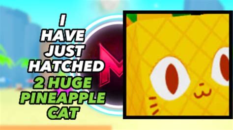 I Have Hatched SOO MANY HUGE PINEAPPLE CAT In Pet Simulator XThen This Happend YouTube