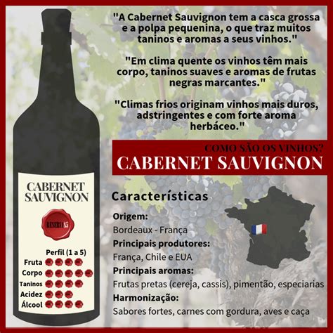 Quem Entende De Vinho