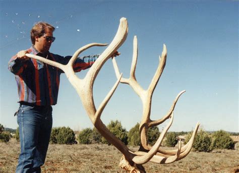 The Top 40 Typical And Nontypical Elk Of All Time