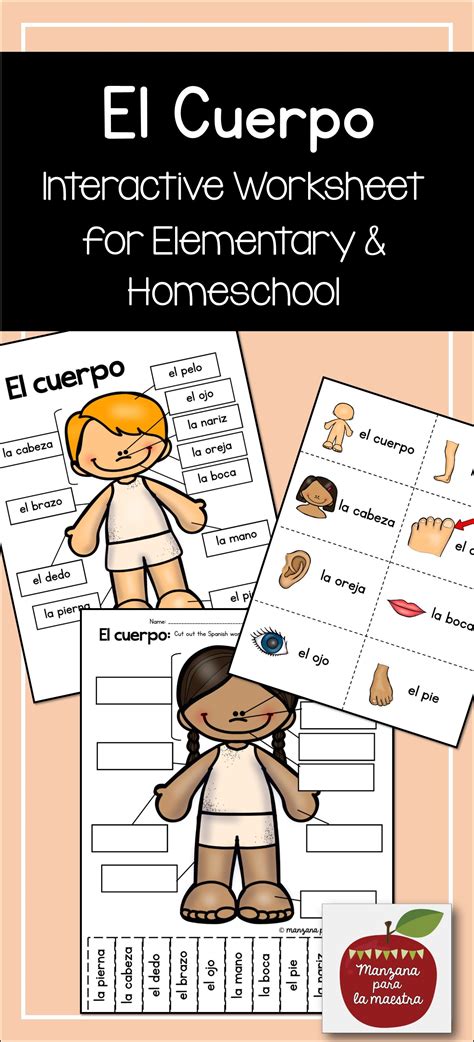 Spanish Body Parts El Cuerpo Homeschool Elementary Spanish Lesson