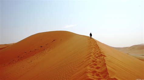 Man Is Walking In The Desert Wallpapers And Images Wallpapers