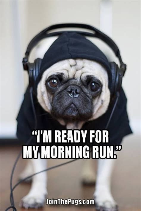 Wowpug Is Going Workoutgreat Men Pugfashioninspo Puglife