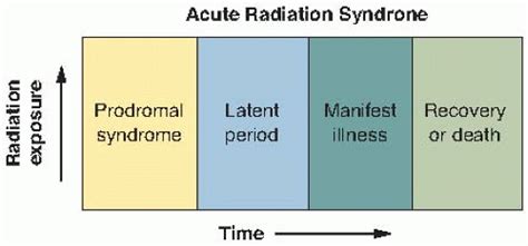 Acute Radiation Syndrome Radiology Key