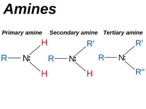 Amines Teaching Resources