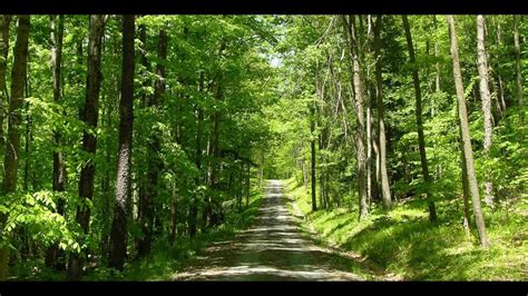 Stream the father full movie a man refuses all assistance from his daughter as he ages as he tries to make sense of his changing circumstances he begins to doubt his loved ones his own mind and even. Valley Steam State Park on Father's Day - YouTube