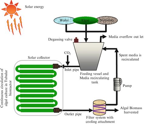 Upon completion of this course, participants will be able to: Schematic representation of algal biomass production in ...