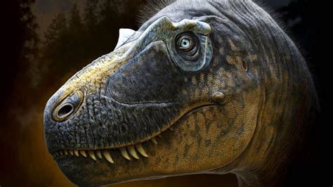 Frightful Dinosaur With Horns Around Its Eyes Roamed The Earth