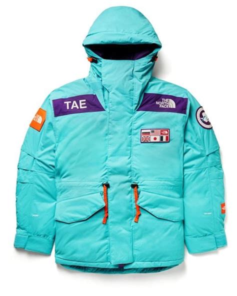 The North Face Trans Antarctica Expedition Dryvent Hooded Down Parka In
