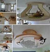 Photos of Cat Beds Modern