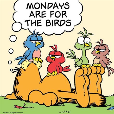 634 Best Garfield The Cat Images On Pinterest