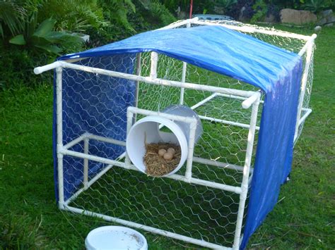 Build Your Own Portable Chicken Coop With Your Free Plan From Klever
