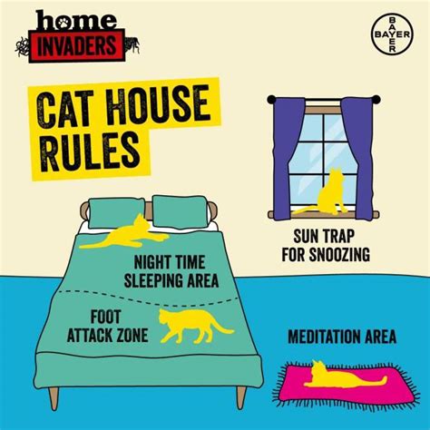 Cat House Rules The Bedroom Katzenworld