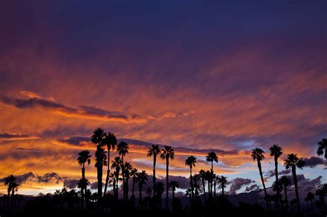 Scorching Sunset Over Palm Springs Photograph By Charles Briscoe Knight