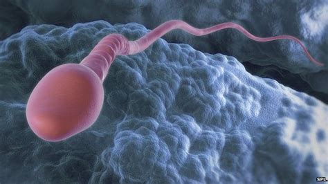 Fertility Clinic Used Wrong Sperm Bbc News