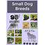 All Small Dog Breed List A To Z With Pictures & Descriptions