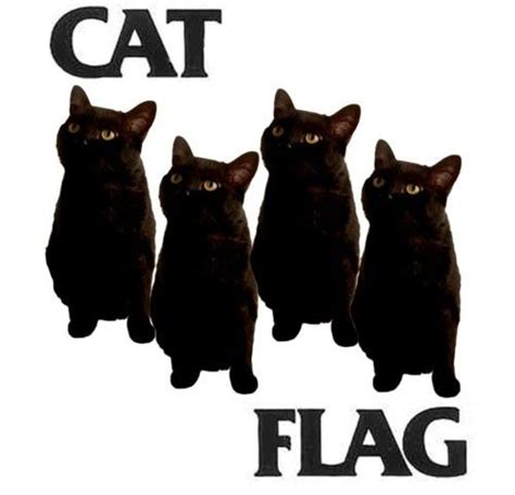 Image 623861 Black Flag Logo Parodies Know Your Meme