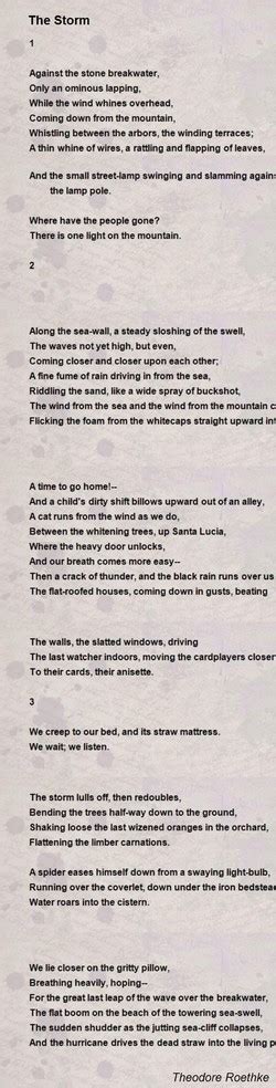 Tornado Poems