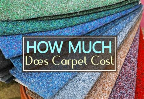How much does funimation cost? How Much Does Carpet Cost? (Popular Types)