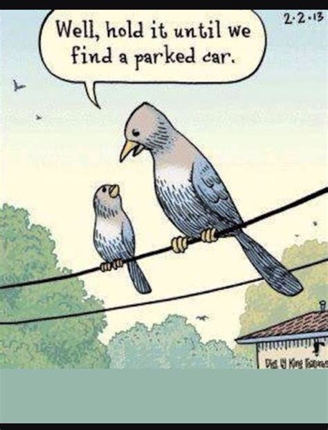 Funny Birds Cartoon Jokes Funny Cartoons Funny Pictures