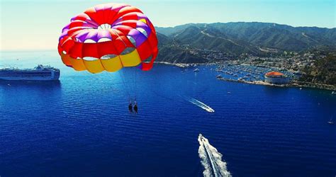 Things To Do On Catalina In The Afternoon