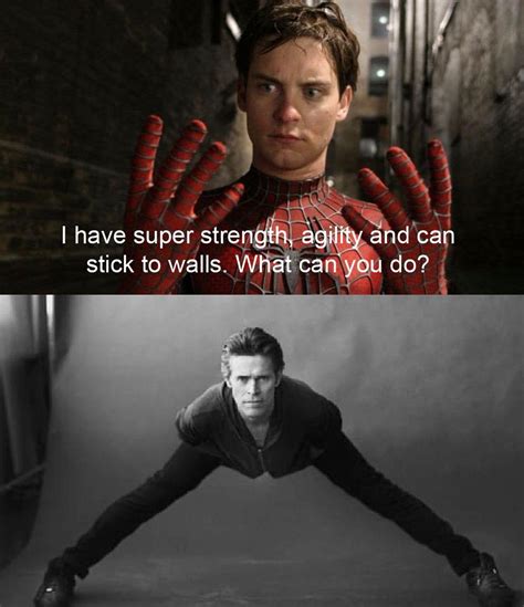 With Great Power Comes Great Responsibility Raimimemes