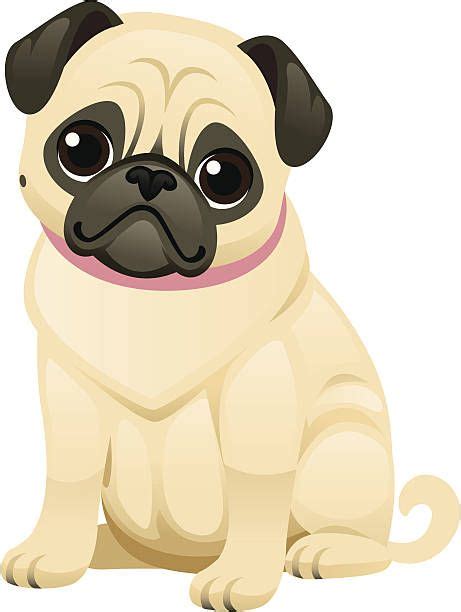 Cute Pug Vector Art Illustration Pug Illustration Cute Pugs