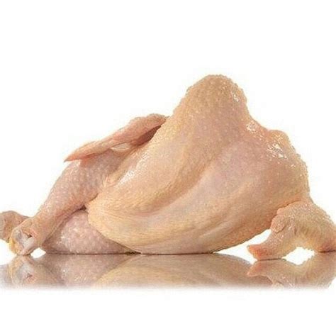 I Raise Your Sexy Turkey Funny