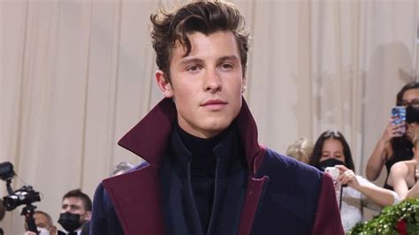 Shawn Mendes Buys Chic La Mansion For A Whopping 46 Million