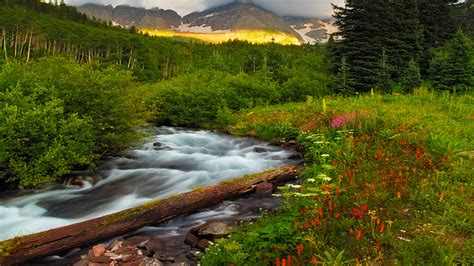 Beautiful Scenery And Mountainous River Flowers Green Trees Vegetation Hd Wallpapers