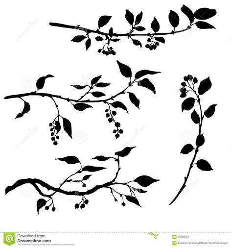 Check spelling or type a new query. Set Of Tree Branches With Leaves And Berries Stock Vector ...