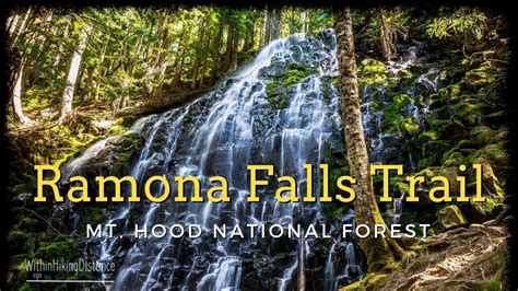 Ramona Falls Trail In Mt Hood National Forest Oregon Youtube