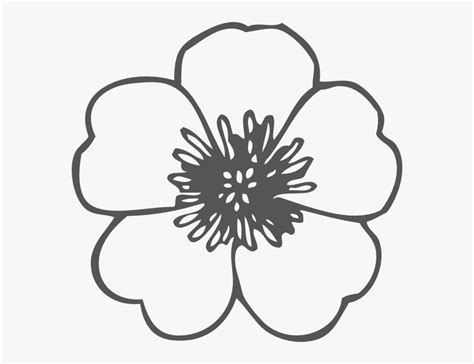 Poppy Png Black And White Outline Flower Clipart Transparent Png