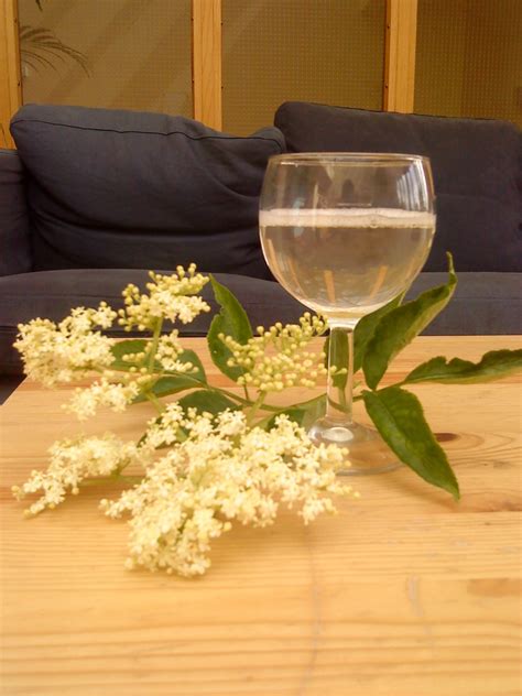 Flower petals create a beautiful, floral scent and they can without problems be grown in any garden. Easy Homemade Elderflower Champagne (Plus Nonalcoholic ...