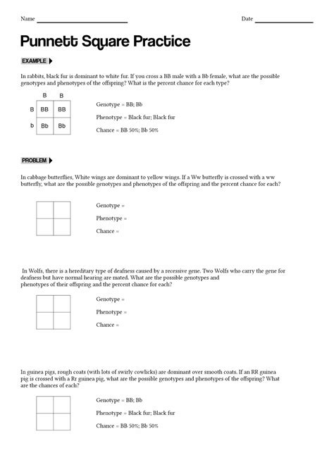15 Punnett Square Worksheet Answer Key Free PDF At Worksheeto
