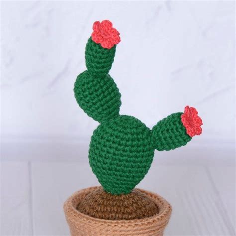 Crochet Cactus Knit Plant Amigurumi Suculento Cactus Etsy México