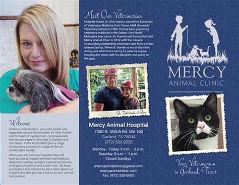Make Great Promotional Brochures Todays Veterinary Business