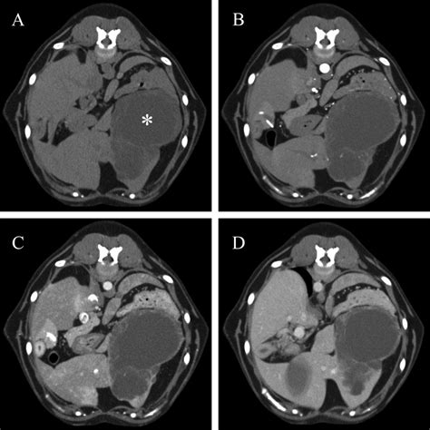 Evaluation Of Canine Hepatic Masses By Use Of Triphasic Computed