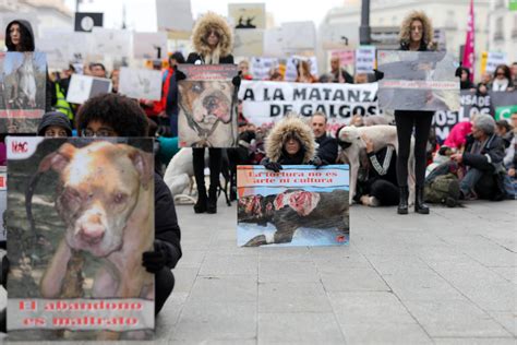 Los Animalistas Consideran La Media Veda Una Masacre Y No Una Medida