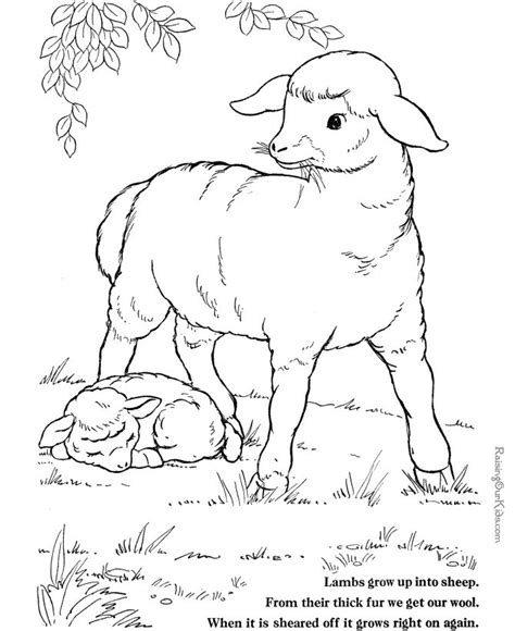 Farms and farmers (8 coloring pages) coloring page #475. Sheep coloring pages - Farm Animals to print and color 008 ...