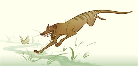 Thylacine By Coconutmilkyway On Deviantart