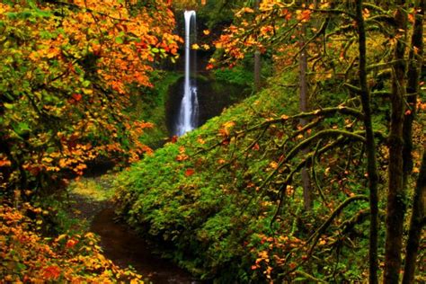 Usa Parks Autumn Waterfalls Silver Falls State Park Nature