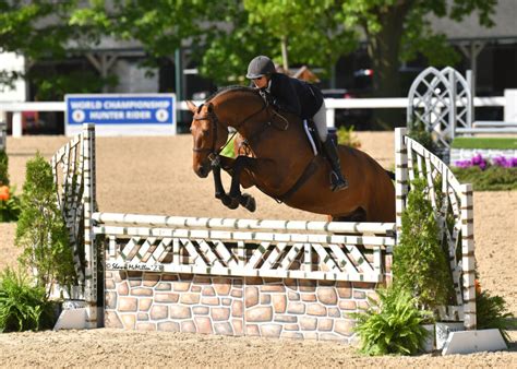 Havens Schatt And Chance Set The Standard At The Kentucky Spring Horse