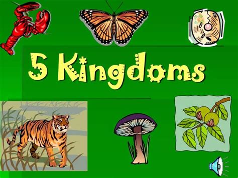 Ppt 5 Kingdoms Powerpoint Presentation Free Download Id6817437