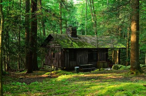 Located in a narrow valley in the mountain lakes region, the park is surrounded by heavily forested mountains, some reaching more than 2,800 feet in height. Holly River State Park - West Virginia State Parks - West ...