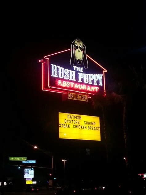 Maybe you would like to learn more about one of these? Hush Puppy in Las Vegas | Hush puppies, Puppies, Las vegas