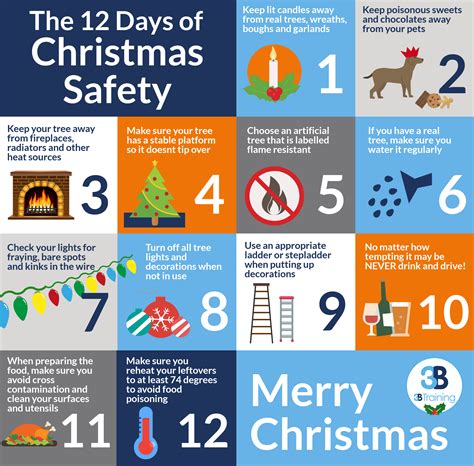 The 12 Days Of Christmas Safety 12 Days Of Christmas Thing 1 Thing 2