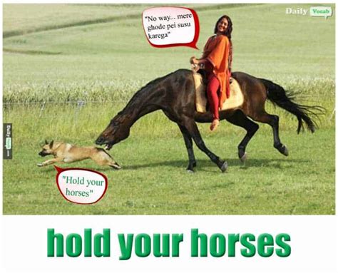 Hold Your Horses German Translation Linguee