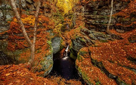Waterfall Autumn Leaves Stream Forest Trees Hd Rock Stone Mountains